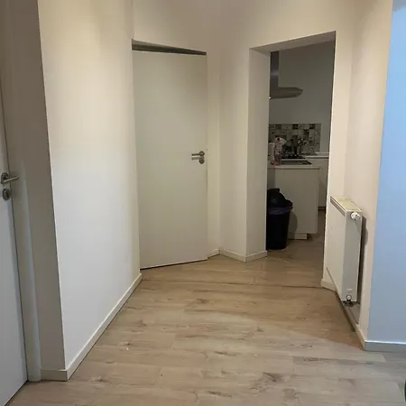 Vidresidence بيت شباب